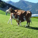 Spreitzhof & Royer Schladming