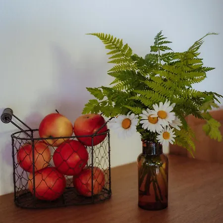 Spreitzhof & Royer Pensjonat 3*