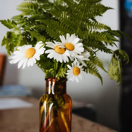 Spreitzhof & Royer 3* Schladming