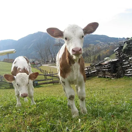 בית הארחה Spreitzhof & Royer שלאדמינג