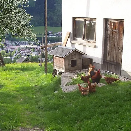 Guest house Pension Spreitzhof & Appartement Royer *