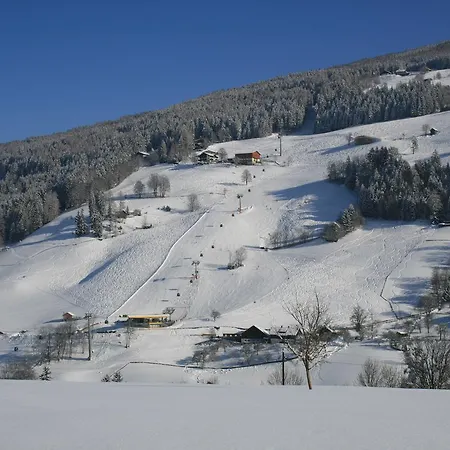 Guest house Pension Spreitzhof & Appartement Royer *