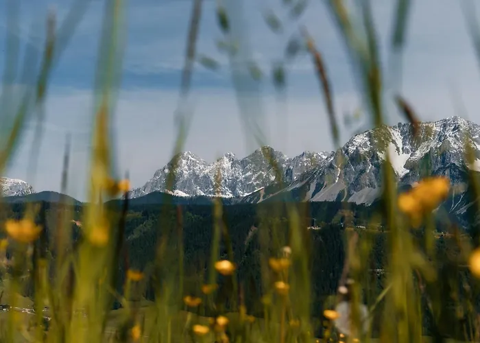 Pension Spreitzhof & Appartement Royer