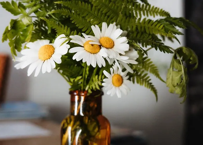 Spreitzhof & Royer 3* Schladming