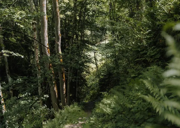 Spreitzhof & Royer Schladming