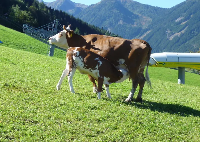 Pension Spreitzhof & Appartement Royer Schladming