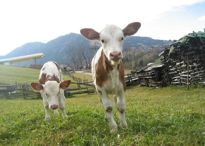 Penzion Spreitzhof & Royer Schladming